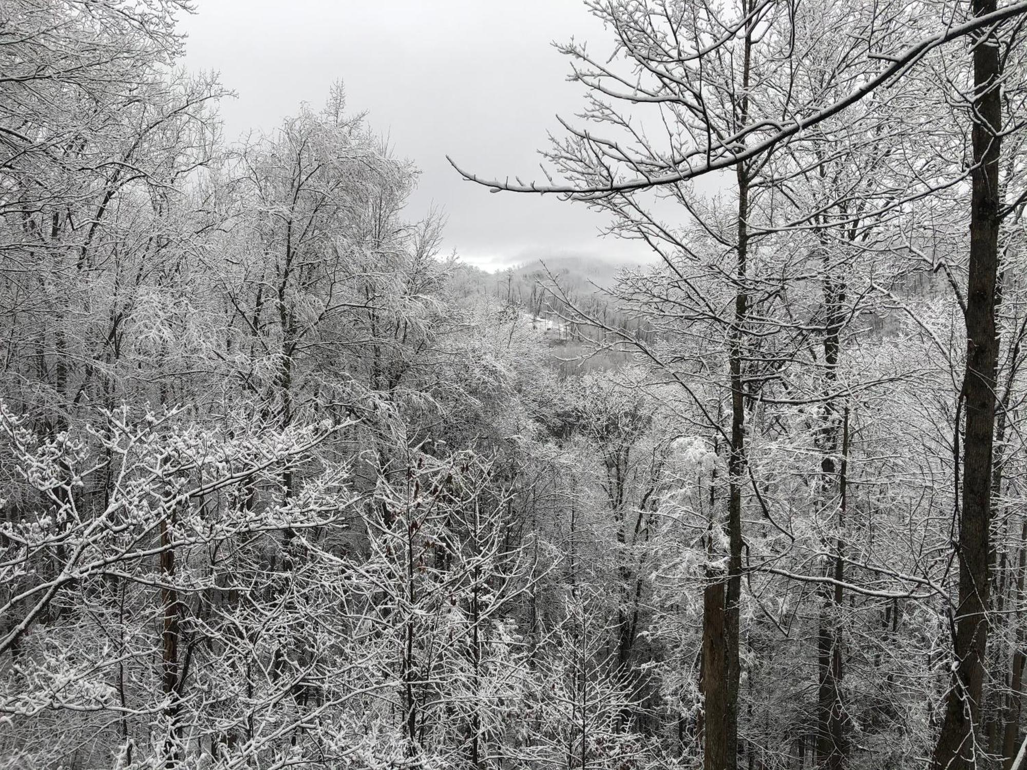 Black Bear Cove Gatlinburg Exteriér fotografie